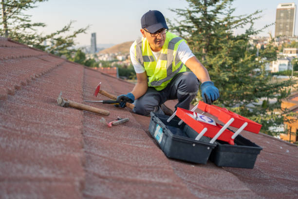 Best Wood Siding Installation  in Lodi, CA